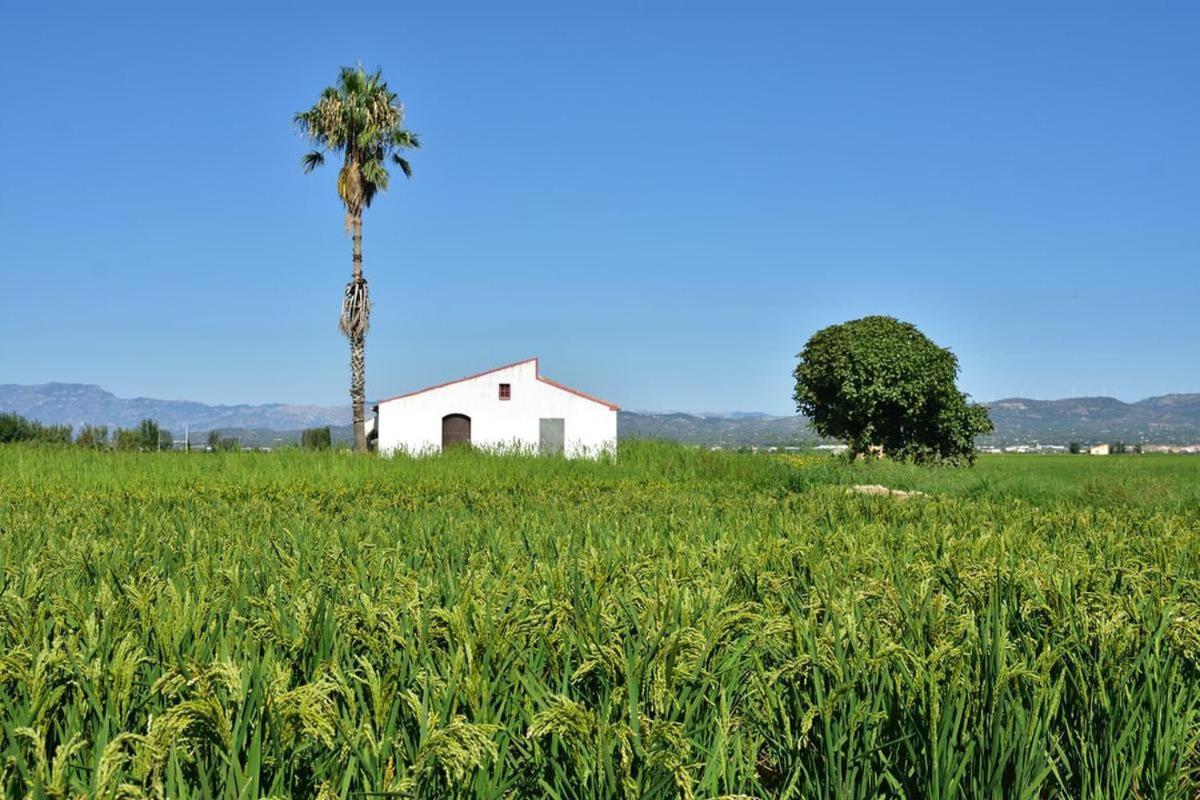 Apartamento Delta Del Ebro Amposta Kültér fotó